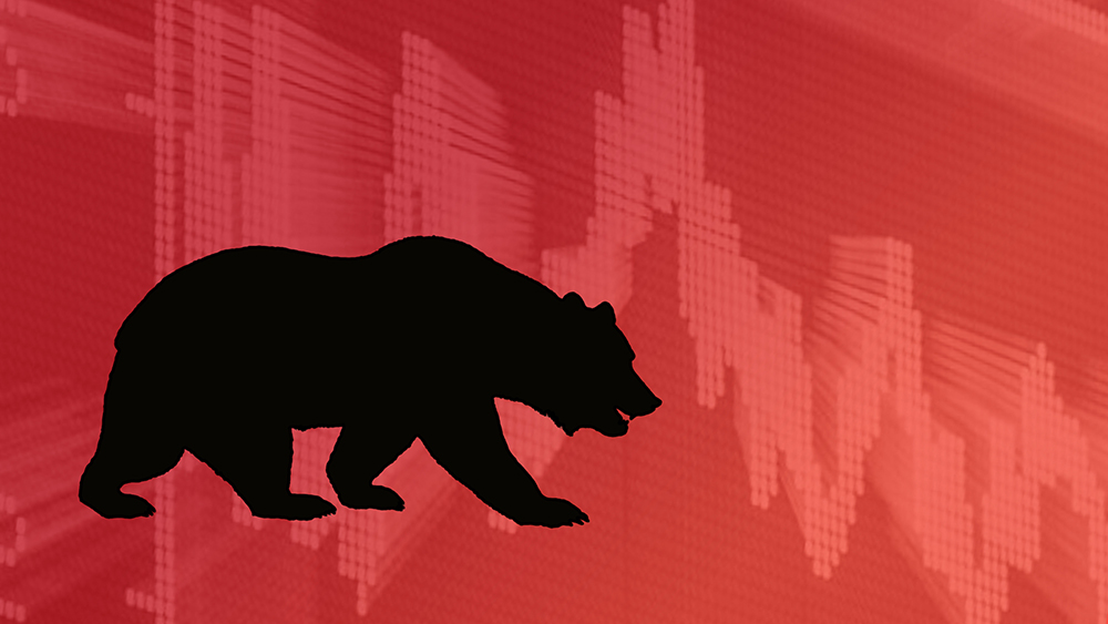 A black silhouette of a bear with a red chart in the background indicates a bearish stock market. The bear is looking down on the descending chart.