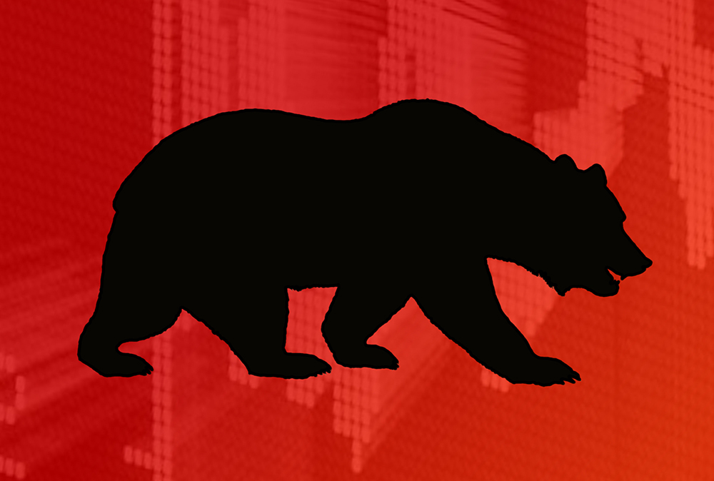 Maintaining Profits During a Bear Market