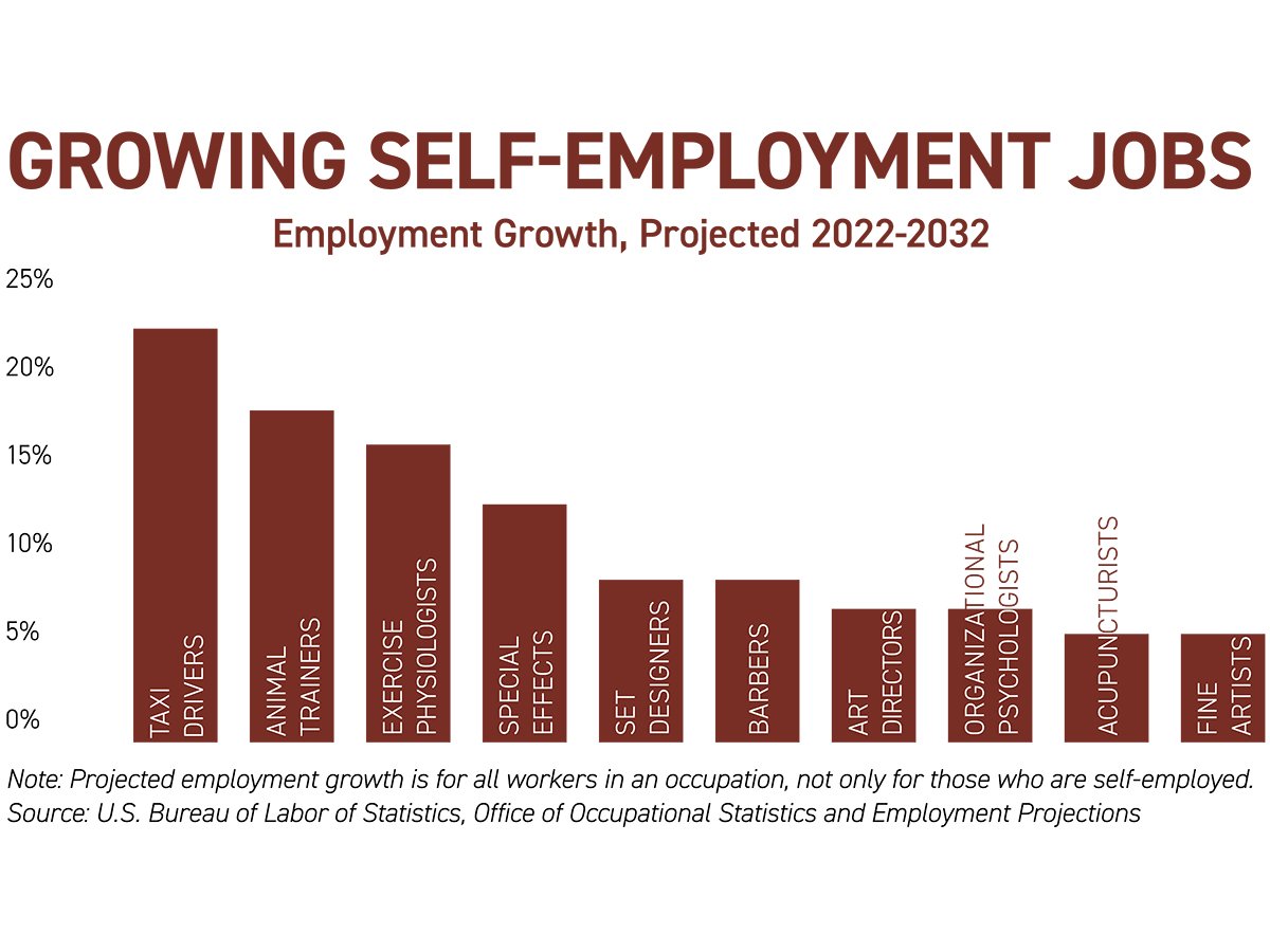 Growing Self-Employment Jobs