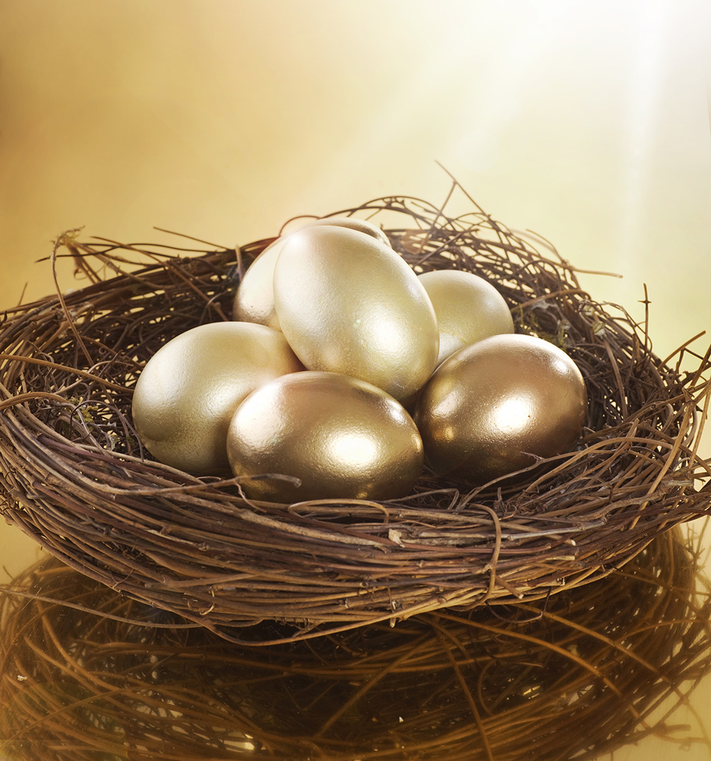 Golden Nest Eggs