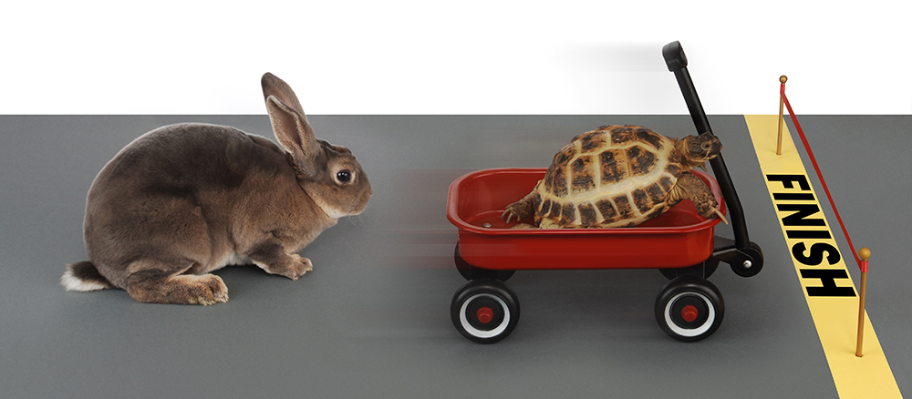 turtle winning the race against a rabbit in a red wagon