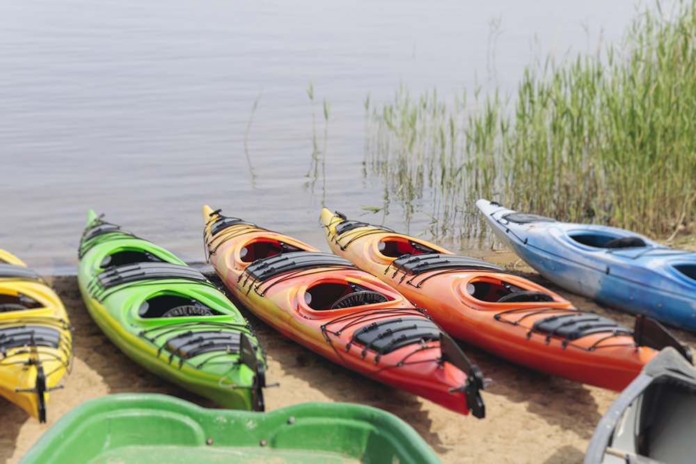 Kayaking in the lake, colorful canoe kayak boat paddling, canoeing in river, scandinavian skerries landscape, group of tourists athletes in kayaks floating, kayakers rowing during water sports tour