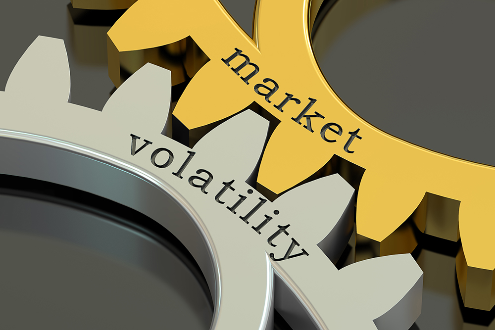 Coping with a Volatile Market