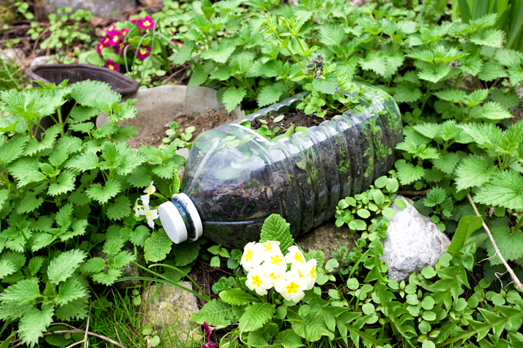 Handmade diy garden flower pot, made out of an old plastic bottle, recycling and reusing, landscaping on a budget concept 